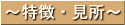 特徴・見所