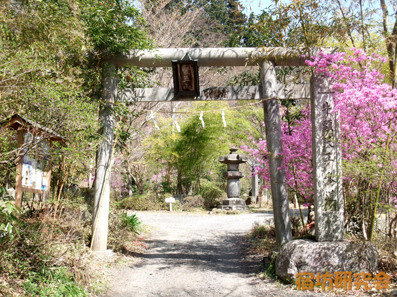 竹寺（埼玉県飯能市）