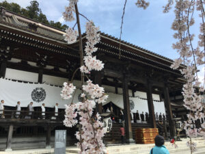 身延山久遠寺