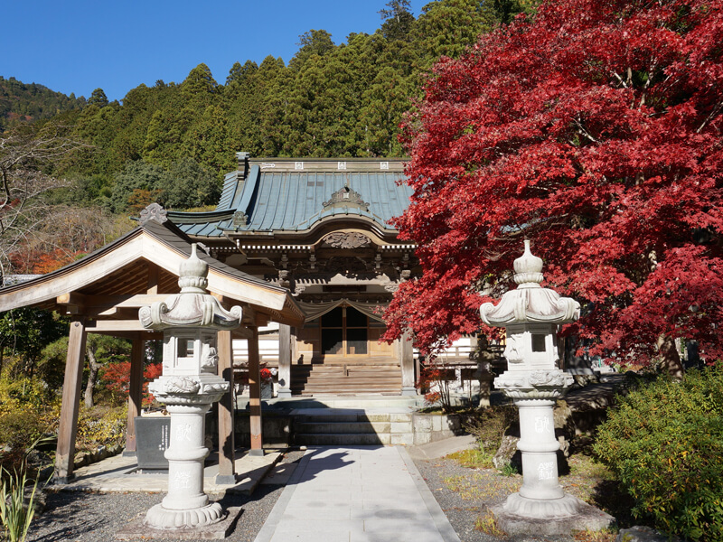 竹之坊の本堂と紅葉