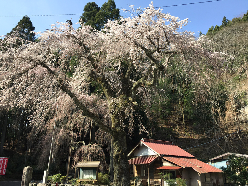 朝日祖師堂