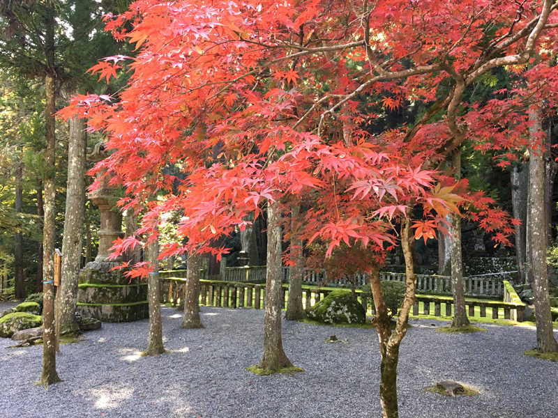 身延山御廟所の紅葉