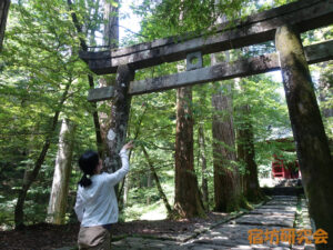 滝尾神社の運試しの鳥居