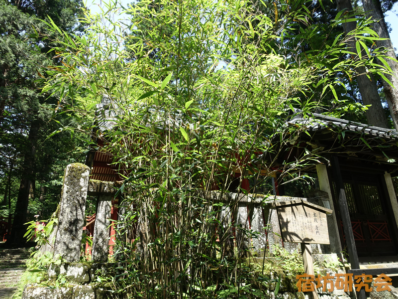 滝尾神社の縁結びの笹