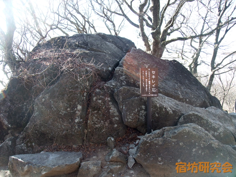 筑波山神社のセキレイ石