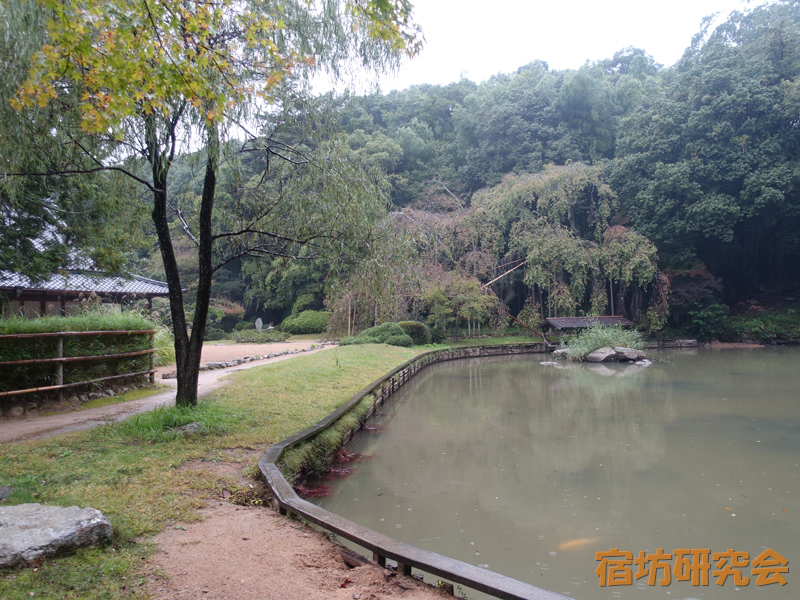曹源寺の日本庭園