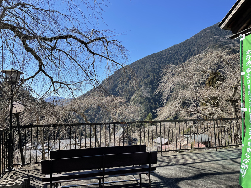 身延山本行坊からの眺め