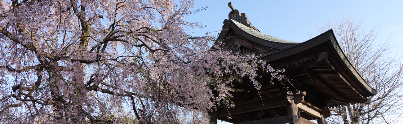 寺社旅